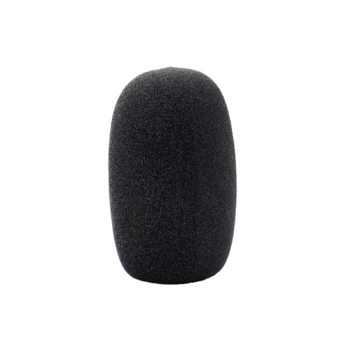 ASP-06 Electret Microphone Protector