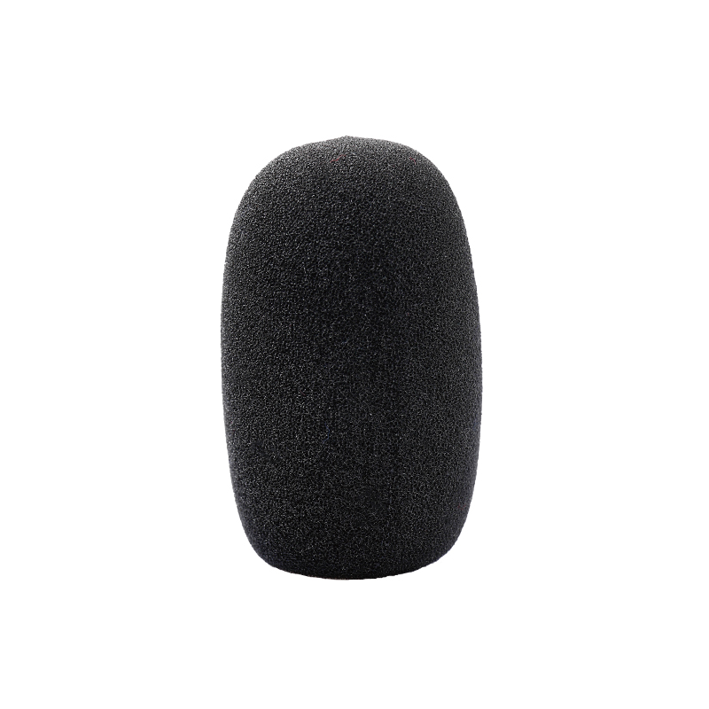 ASP-06 Electret Microphone Protector